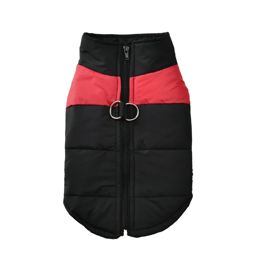 Guangdong Pet Dog Winter Jacket Windproof Waterproof Coat
