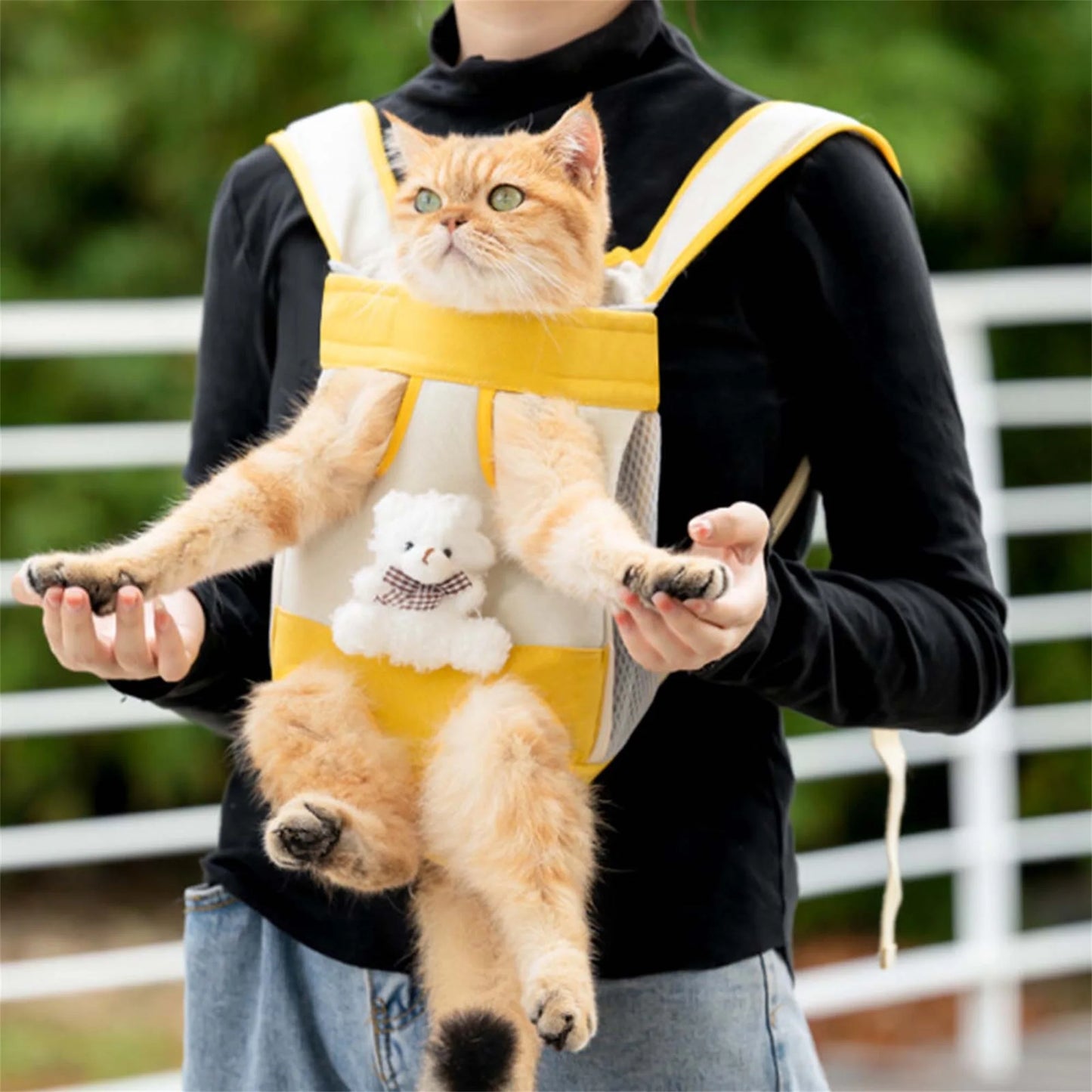 Breed Portable Pet Carrier Backpack For Dogs And Cats Breathable