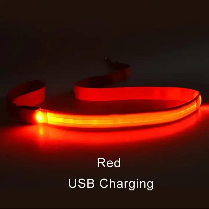 YTYINCN LED Light Up Dog Leash For Safety And Visibility