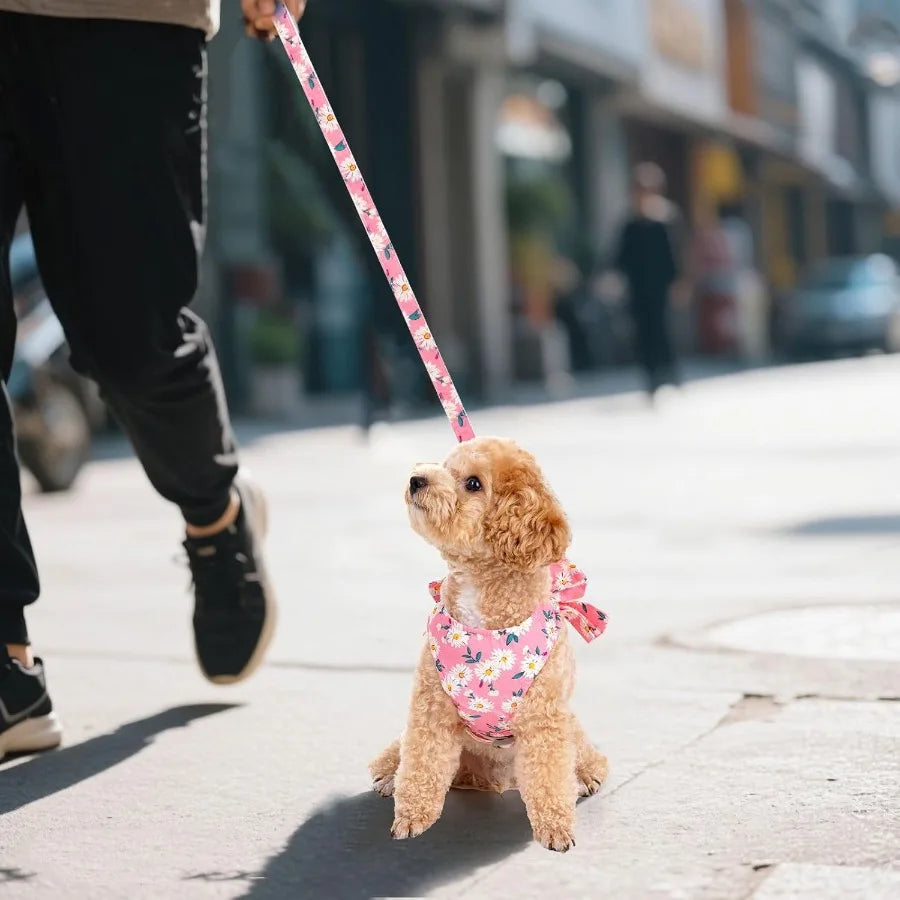 Adjustable Dog Harness And Leash Set Mesh Vest Bow Knot