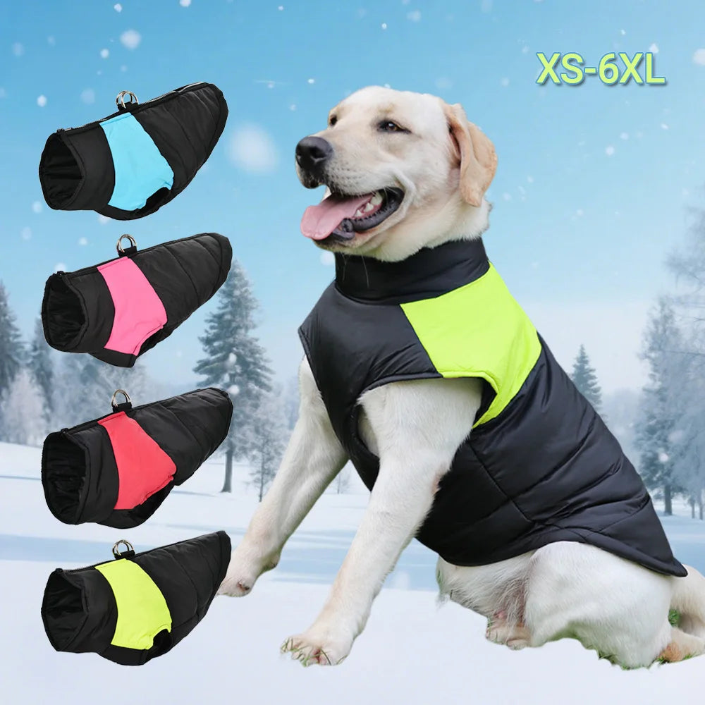 Guangdong Pet Dog Winter Jacket Windproof Waterproof Coat