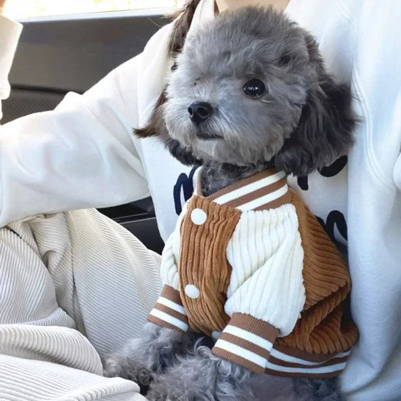 Guangdong Cute Embroidered Pet Baseball Jacket For Dogs Cats