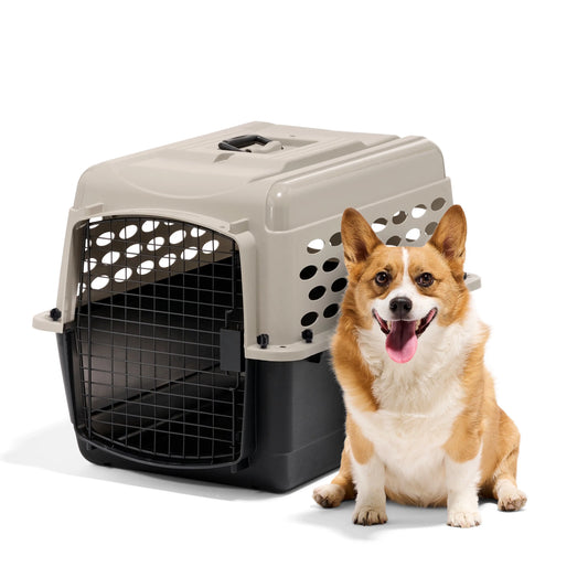 Plastic Dog Kennel Airline Approved Portable Pet Carrier
