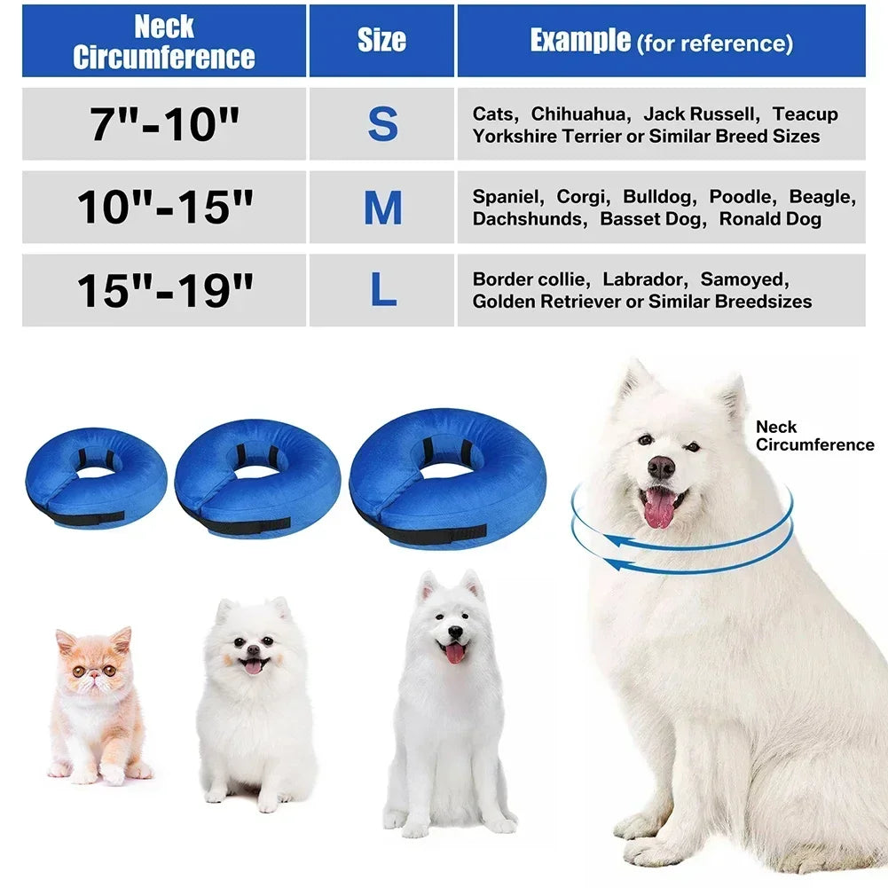 CN Guangdong Inflatable Recovery Pet Collar For Dogs Cats
