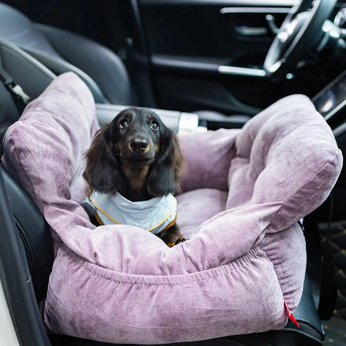 2-In-1 Dog Car Seat Carrier Bag With Detachable Booster Seat