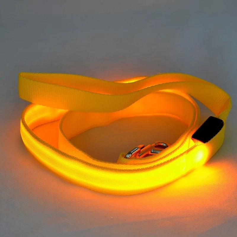 YTYINCN LED Light Up Dog Leash For Safety And Visibility