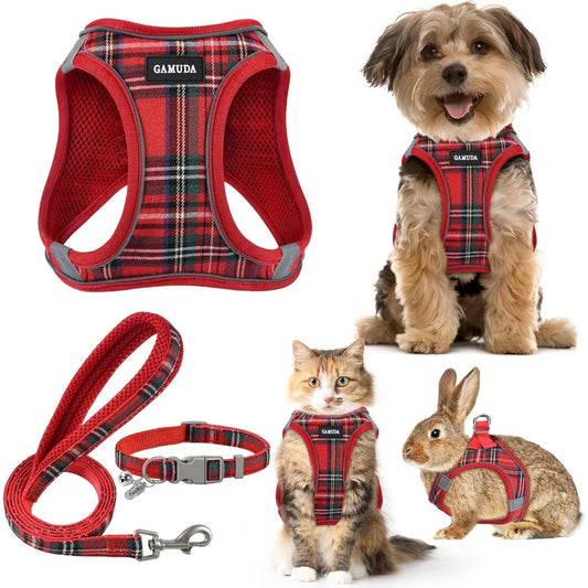 Small Animal Harness And Leash Set With Soft Mesh Vest