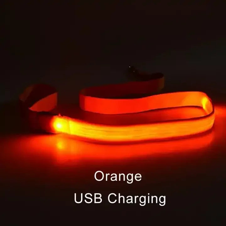 YTYINCN LED Light Up Dog Leash For Safety And Visibility