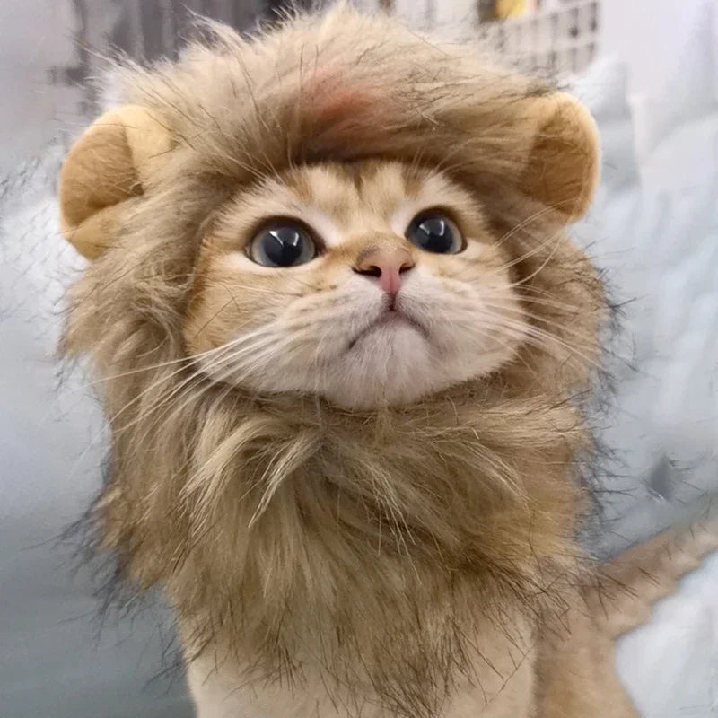 Guizhou Lion Mane Pet Hat for Dogs and Cats Costume