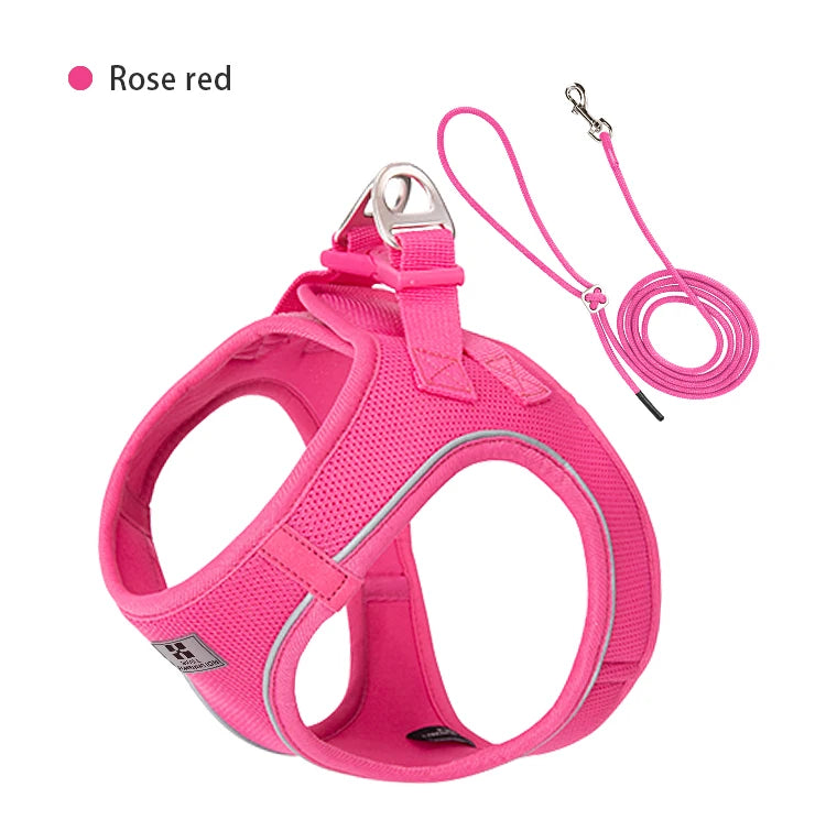 Small Combination Harness Leash Set Reflective Adjustable