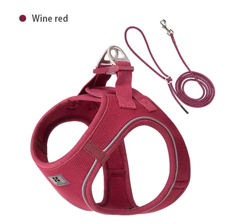 Small Combination Harness Leash Set Reflective Adjustable