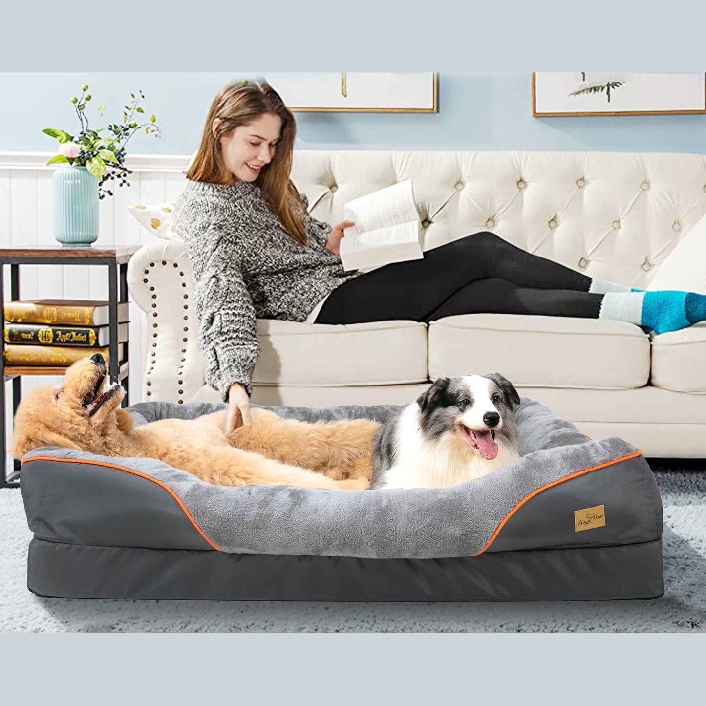 BINGOPAW Anti Allergy Dog Bed With Removable Washable Cover