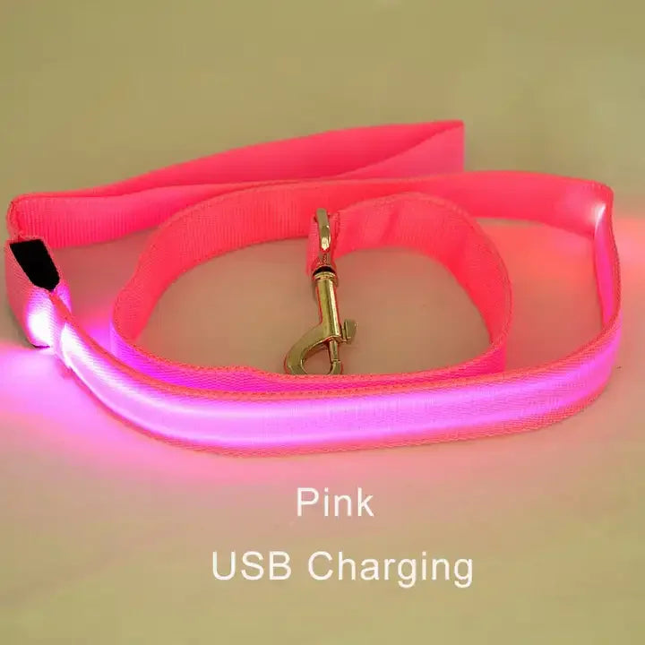 YTYINCN LED Light Up Dog Leash For Safety And Visibility