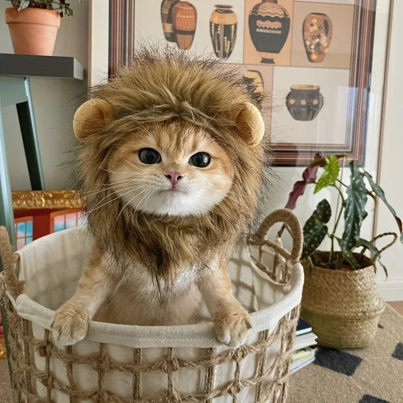 Guizhou Lion Mane Pet Hat for Dogs and Cats Costume