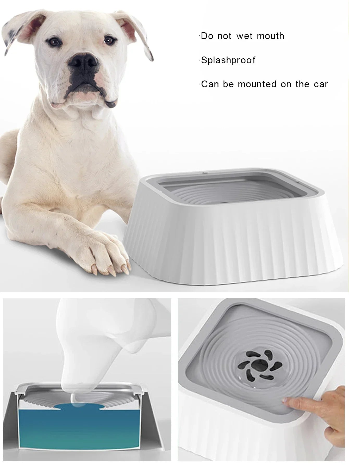 Pet Water Fountain With Floating Plates Anti Spill No Splash