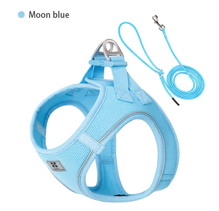 Small Combination Harness Leash Set Reflective Adjustable
