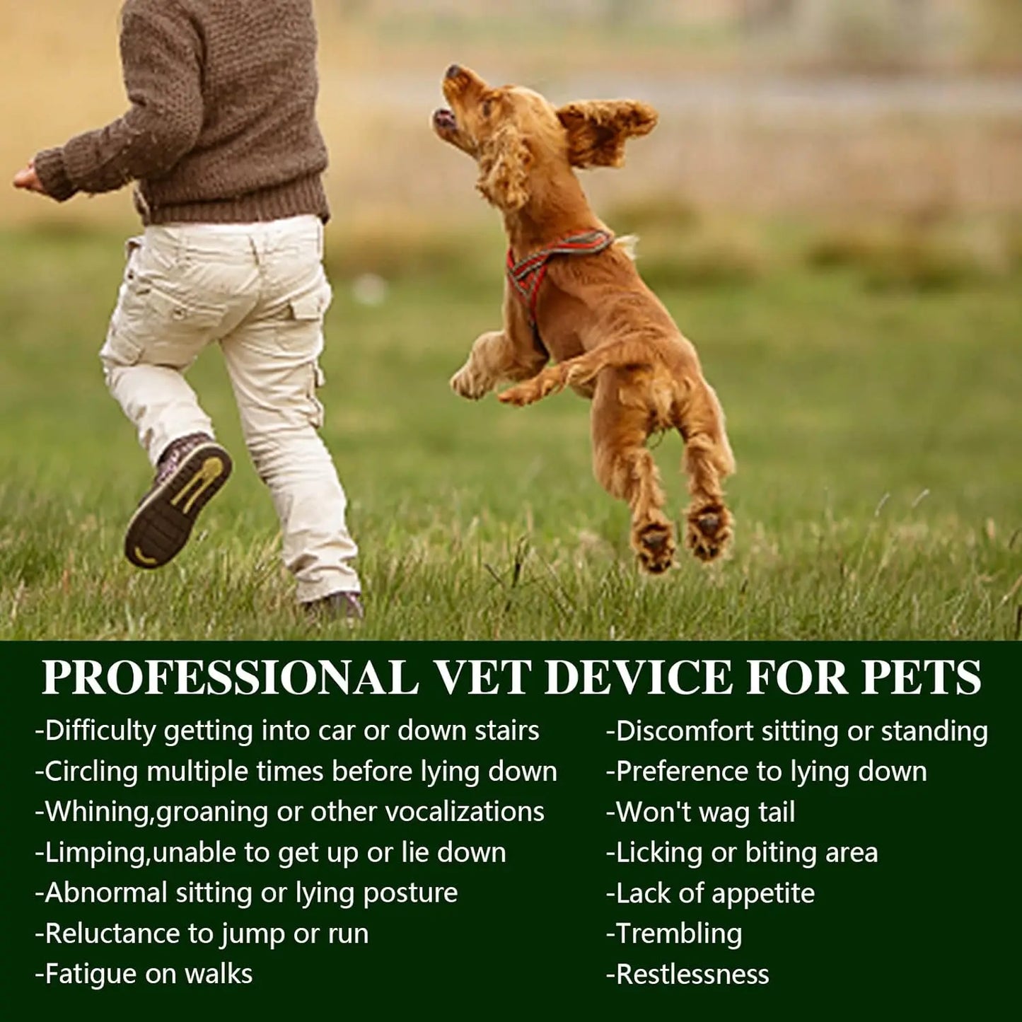 Portable Pet Red Light Therapy Device 660nm And 810nm Wavelengths