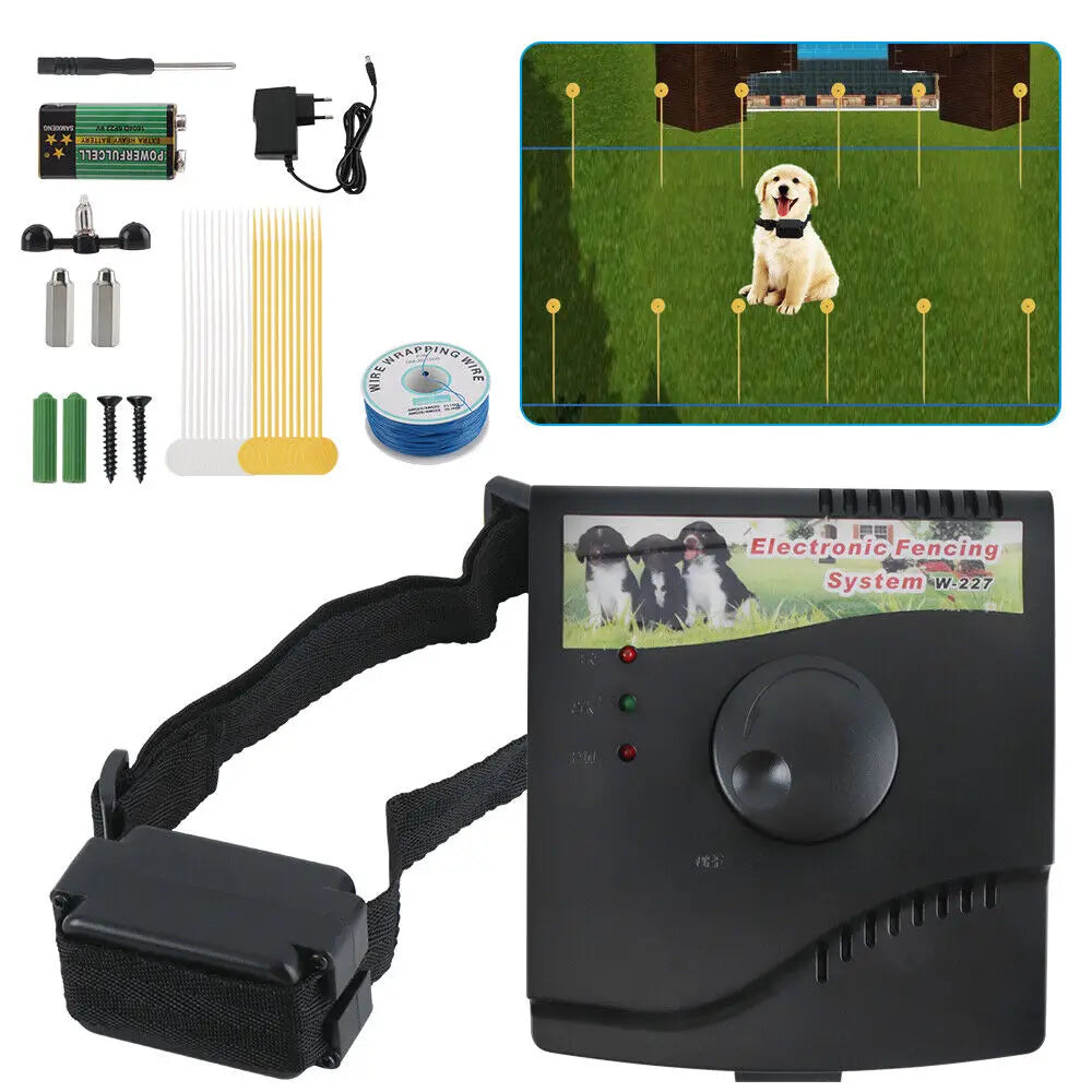 Guangdong CN Electric Dog Fence System With Waterproof Collar