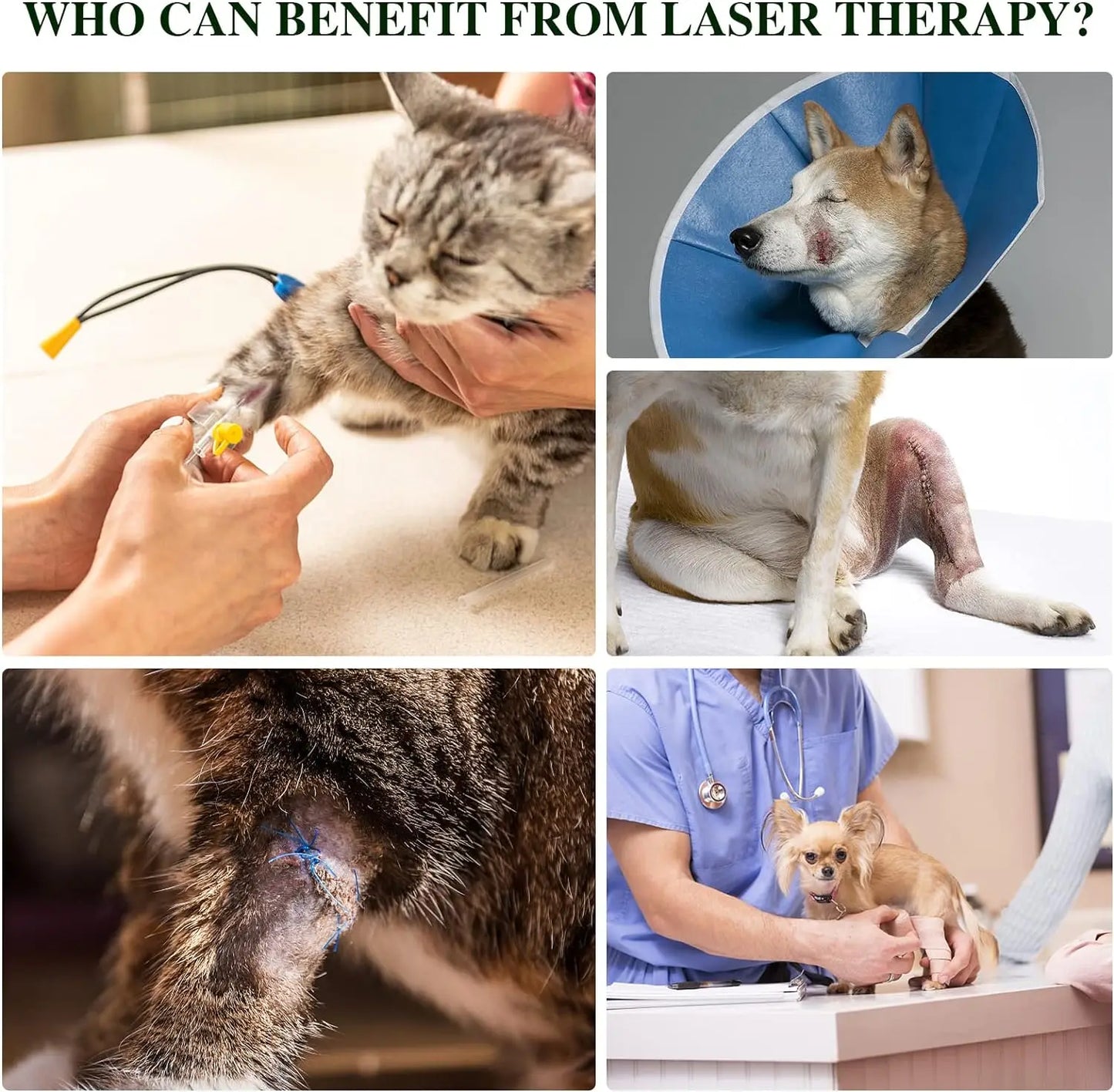 Portable Pet Red Light Therapy Device 660nm And 810nm Wavelengths