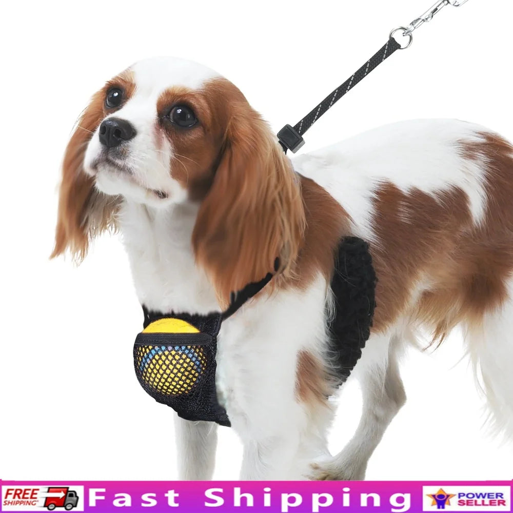 Fujian Reflective Non-Pulling Dog Harness With Storage Pouch