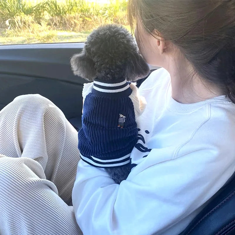 Guangdong Cute Embroidered Pet Baseball Jacket For Dogs Cats