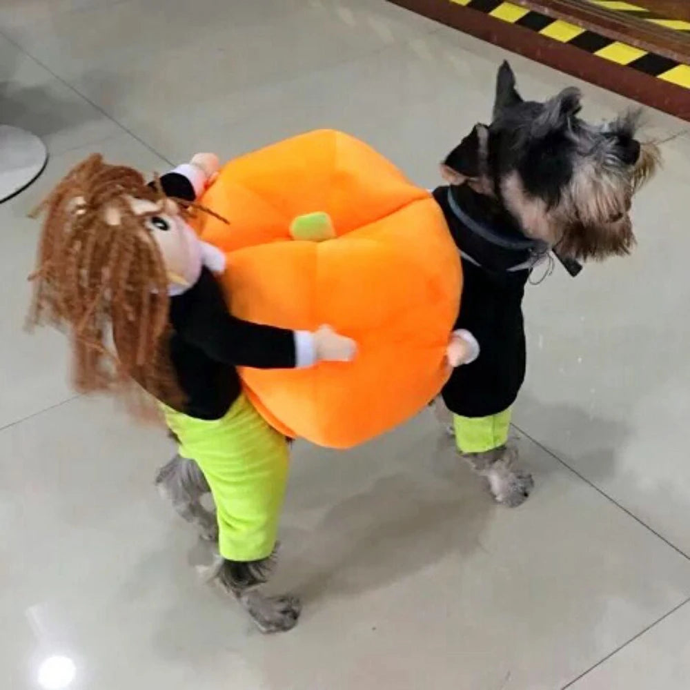 Guangdong Pet Dog Halloween Cosplay Leotard Costume