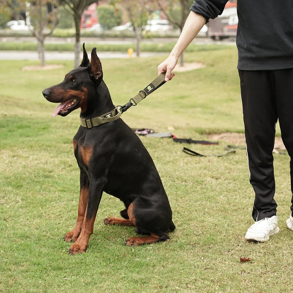 IPETPERIOD Traffic Dog Leash With Padded Handle Nylon Lead