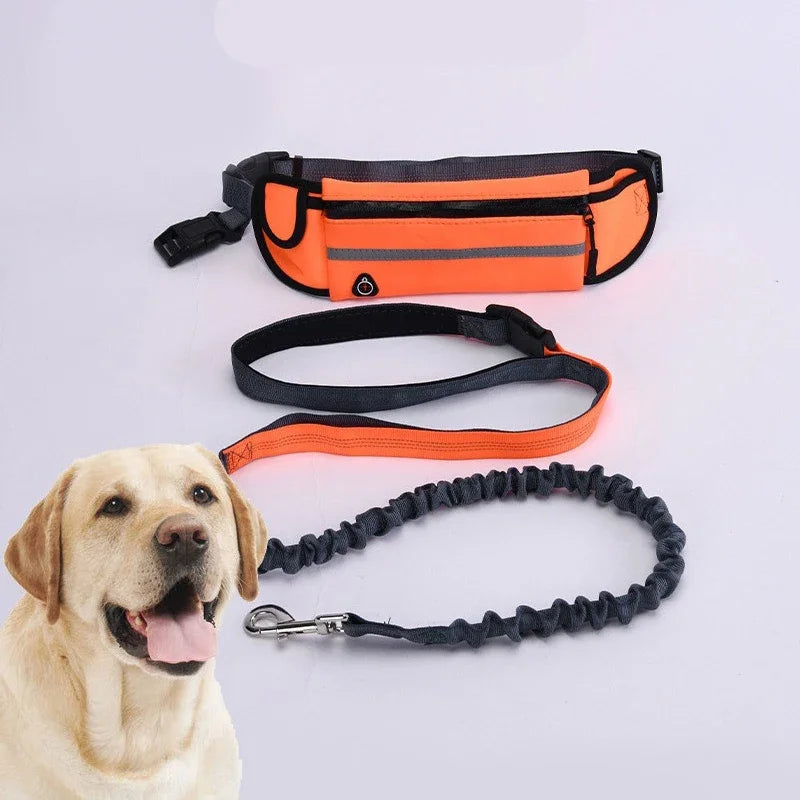 Booteely Hands Free Reflective Retractable Dog Leash