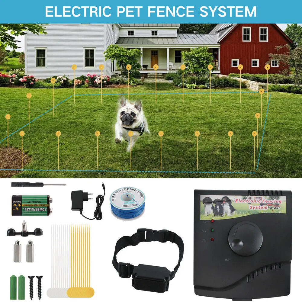 Guangdong CN Electric Dog Fence System With Waterproof Collar