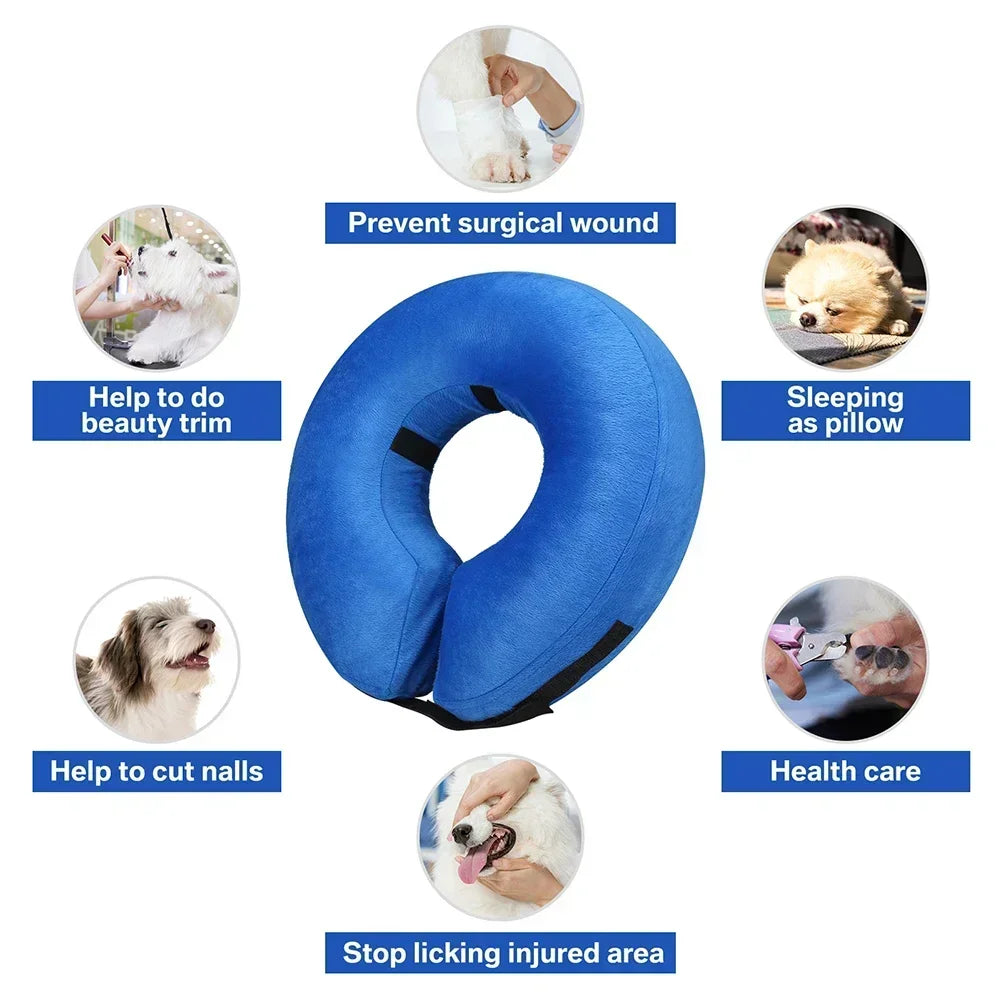 CN Guangdong Inflatable Recovery Pet Collar For Dogs Cats