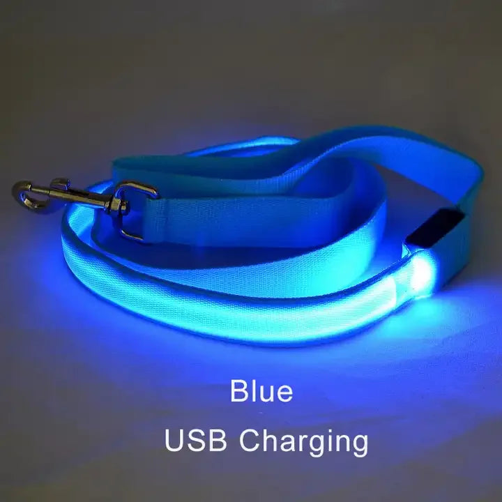 YTYINCN LED Light Up Dog Leash For Safety And Visibility
