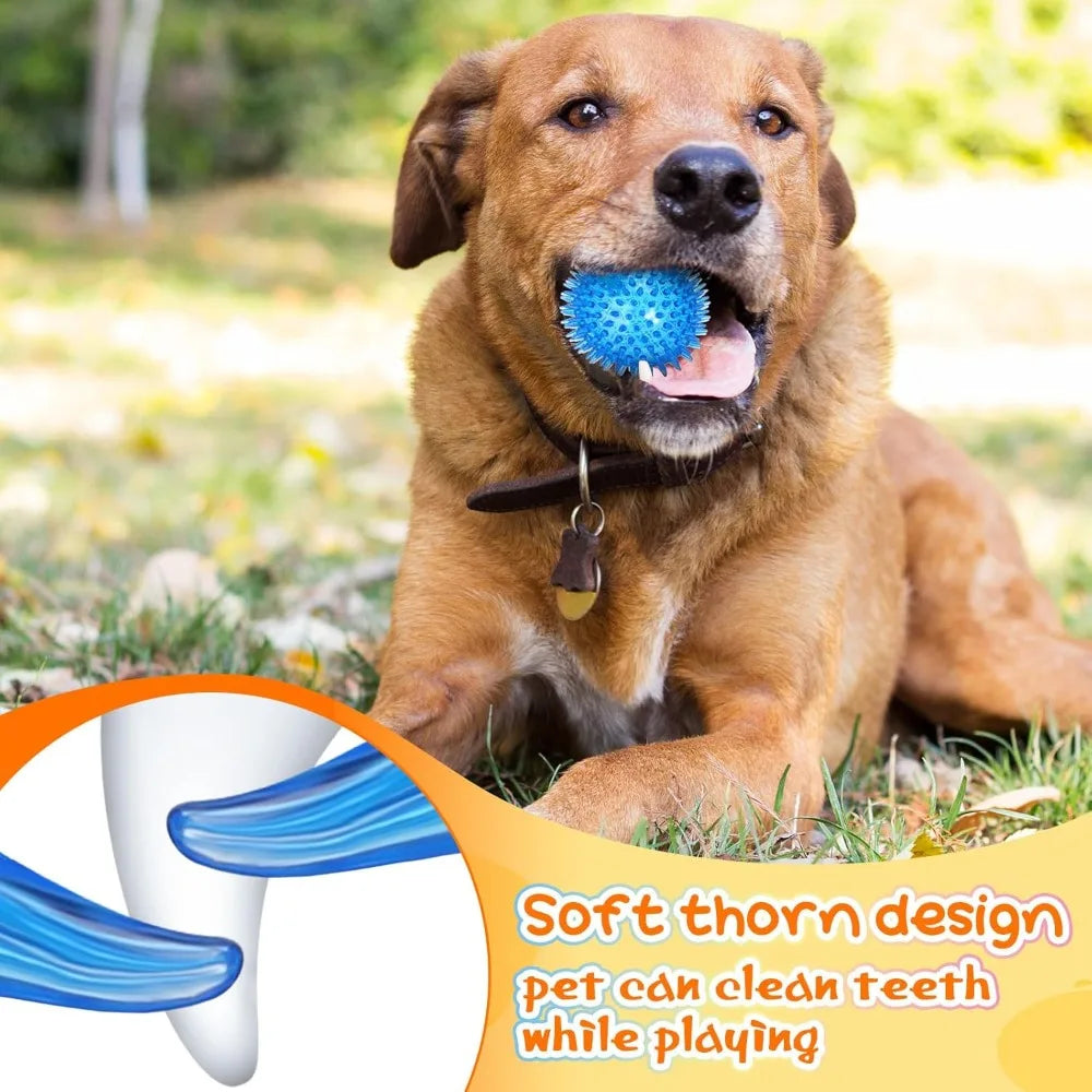Spikey Dog Balls 24 Piece Squeaky Rubber Toys For Teething