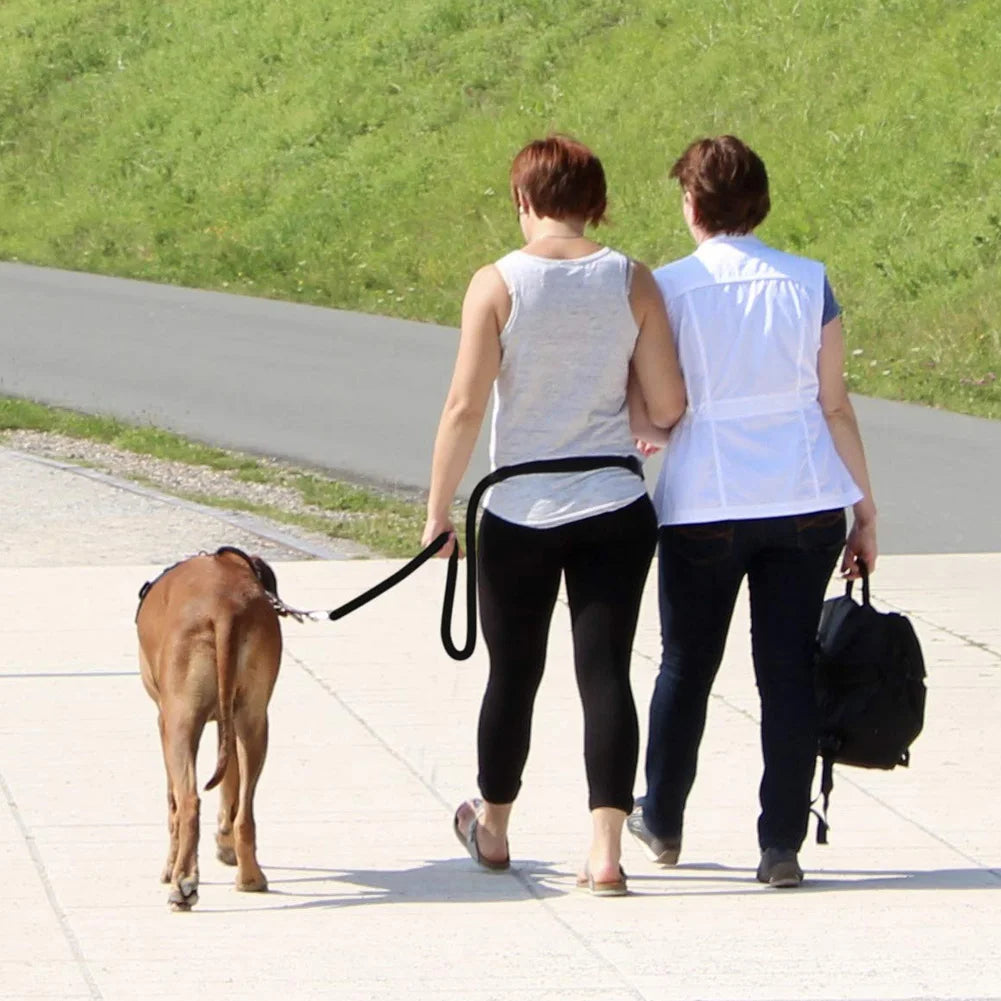 Guangdong Double Ended Adjustable Dog Leash for Halti Training