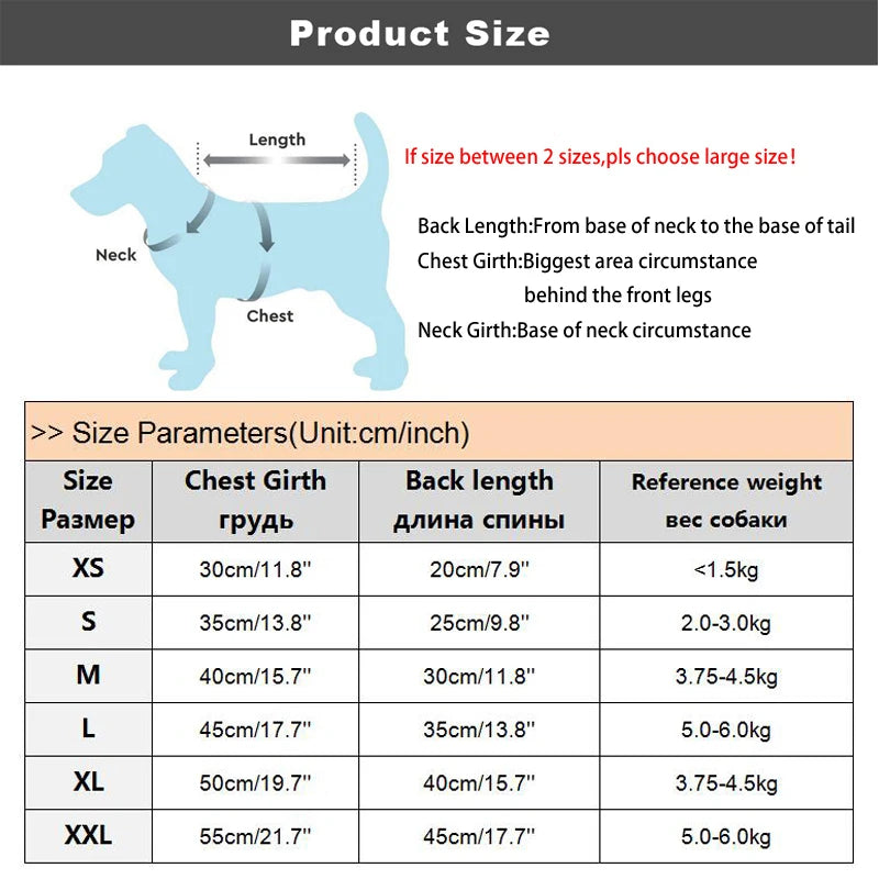 Miss Doggy Christmas Pet Coat For Dog Cat Santa Costume