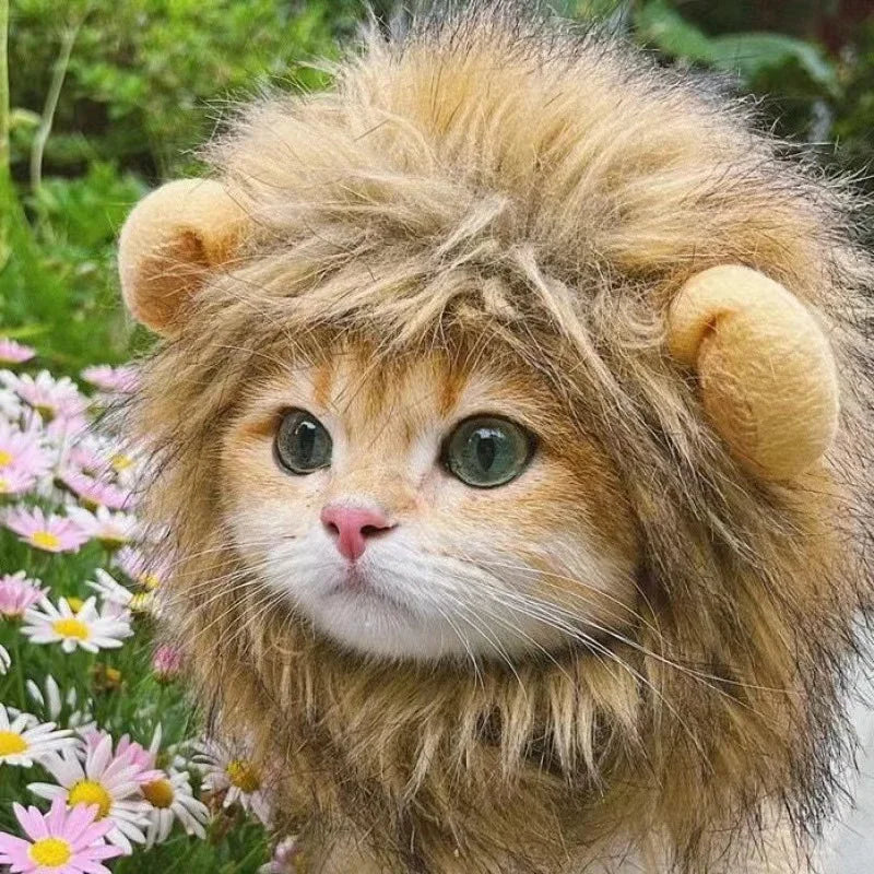 Guizhou Lion Mane Pet Hat for Dogs and Cats Costume