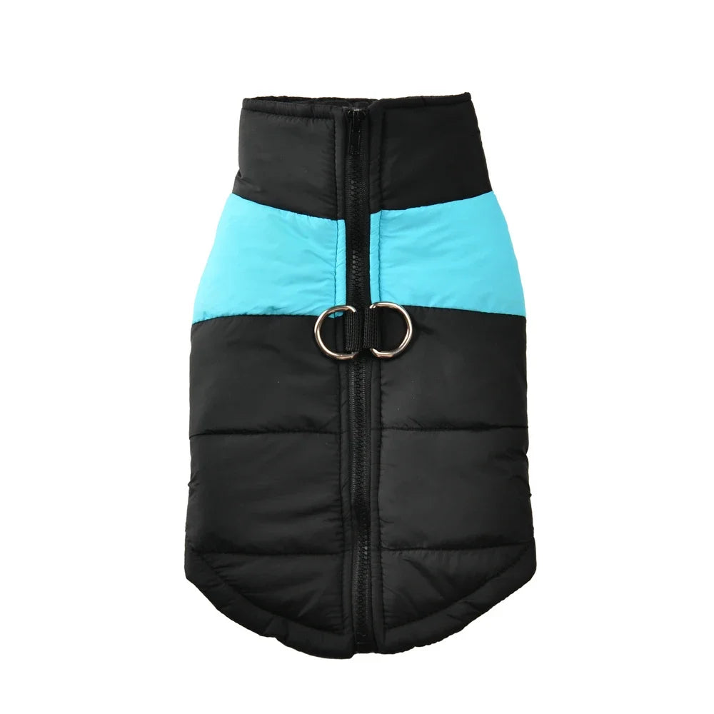 Guangdong Pet Dog Winter Jacket Windproof Waterproof Coat