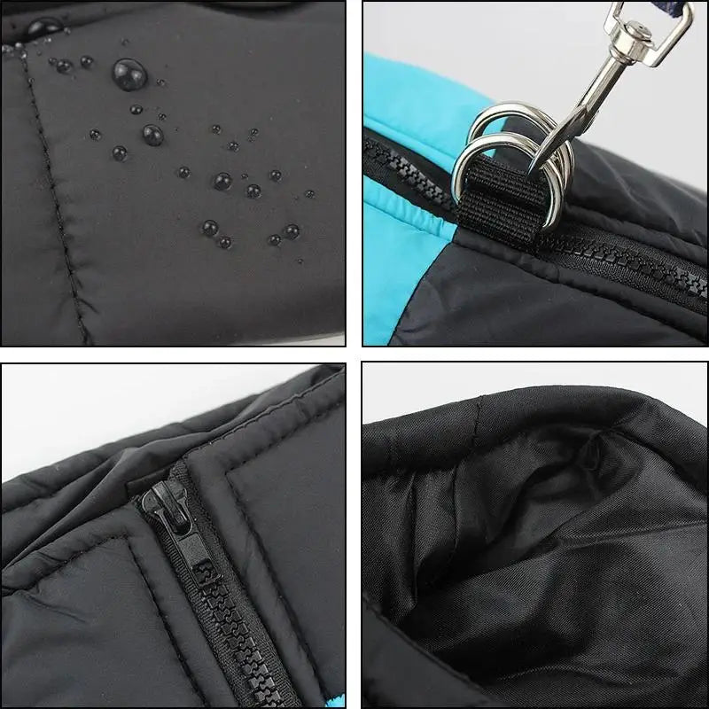 Guangdong Pet Dog Winter Jacket Windproof Waterproof Coat