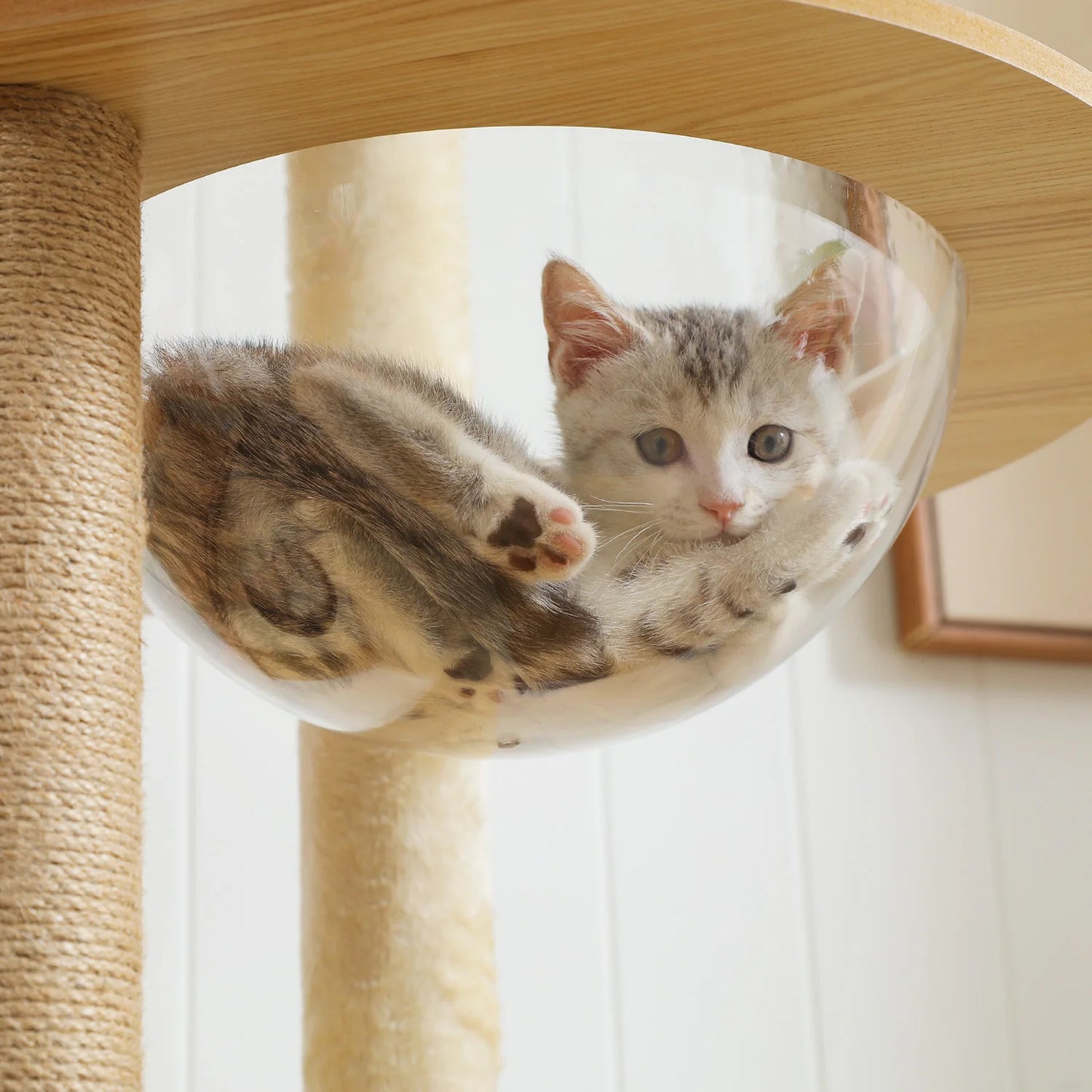 PAWZ Road Multi Level Cat Tree Wood Tower Scratching Posts