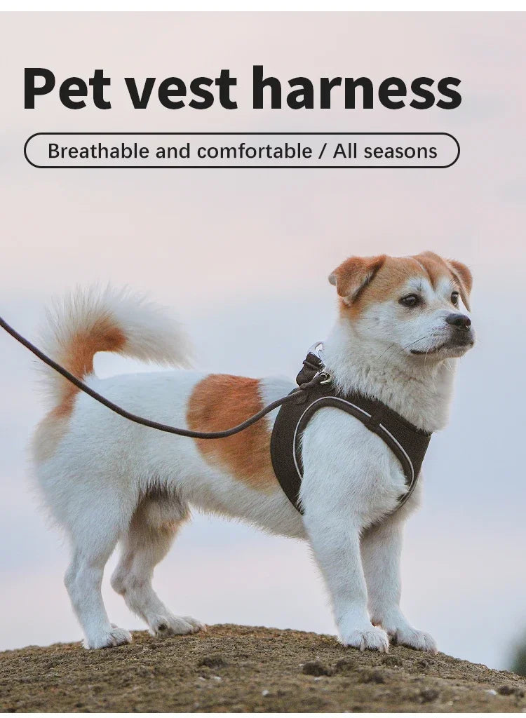 Small Combination Harness Leash Set Reflective Adjustable