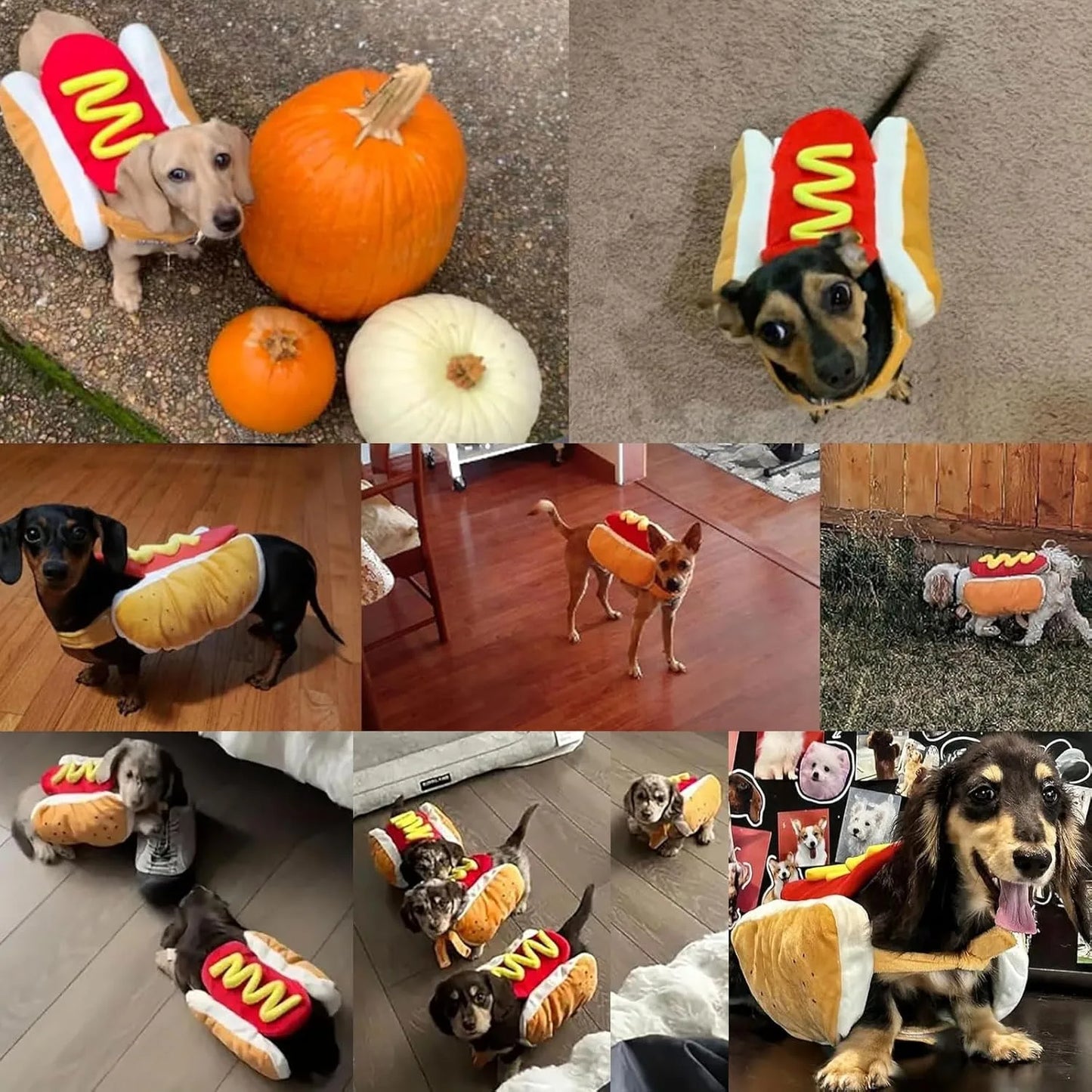 Funny Hot Dog Costume Sausage Shaped for Dachshund