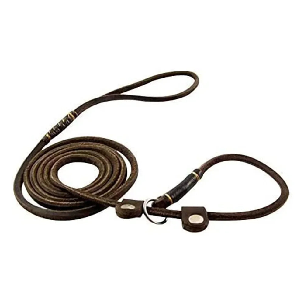 Genuine Leather Slip Dog Leash Adjustable Lightweight Sturdy