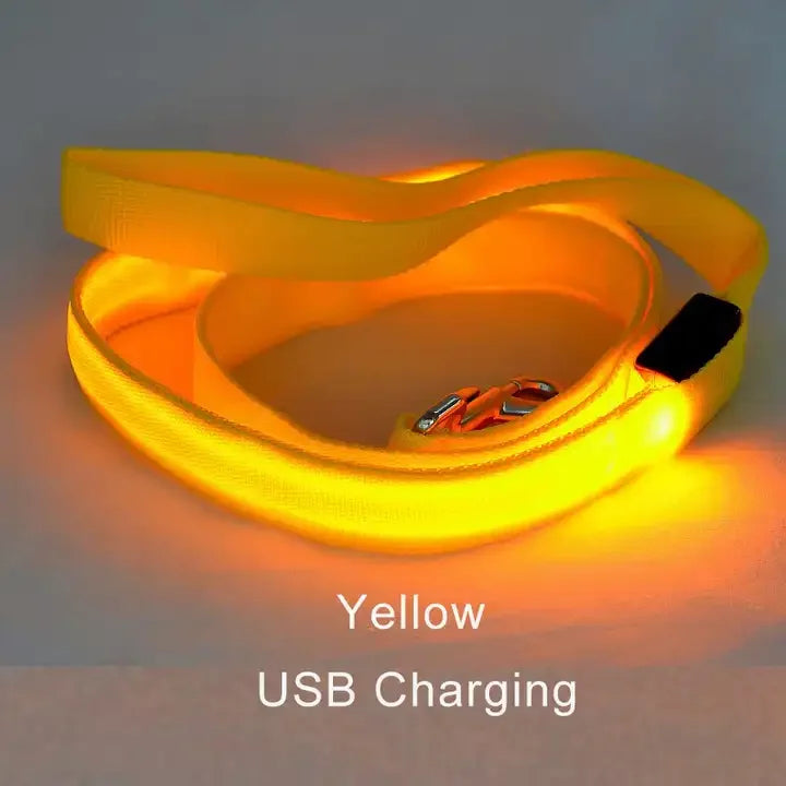 YTYINCN LED Light Up Dog Leash For Safety And Visibility