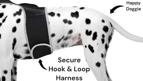 Real Time Pet Location GPS Collar For Cats And Dogs