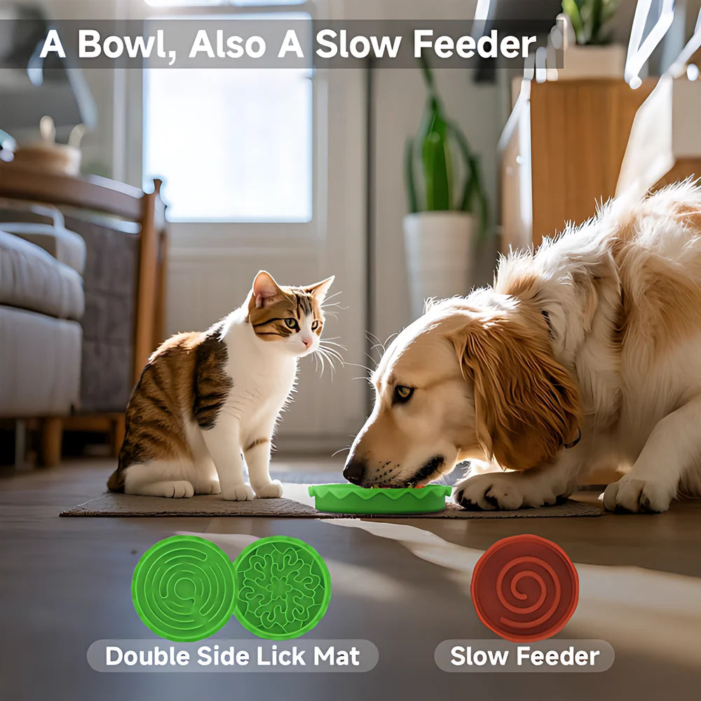 5-In-1 Burger Pet Bowls Set With Tilted And Elevated Bowls
