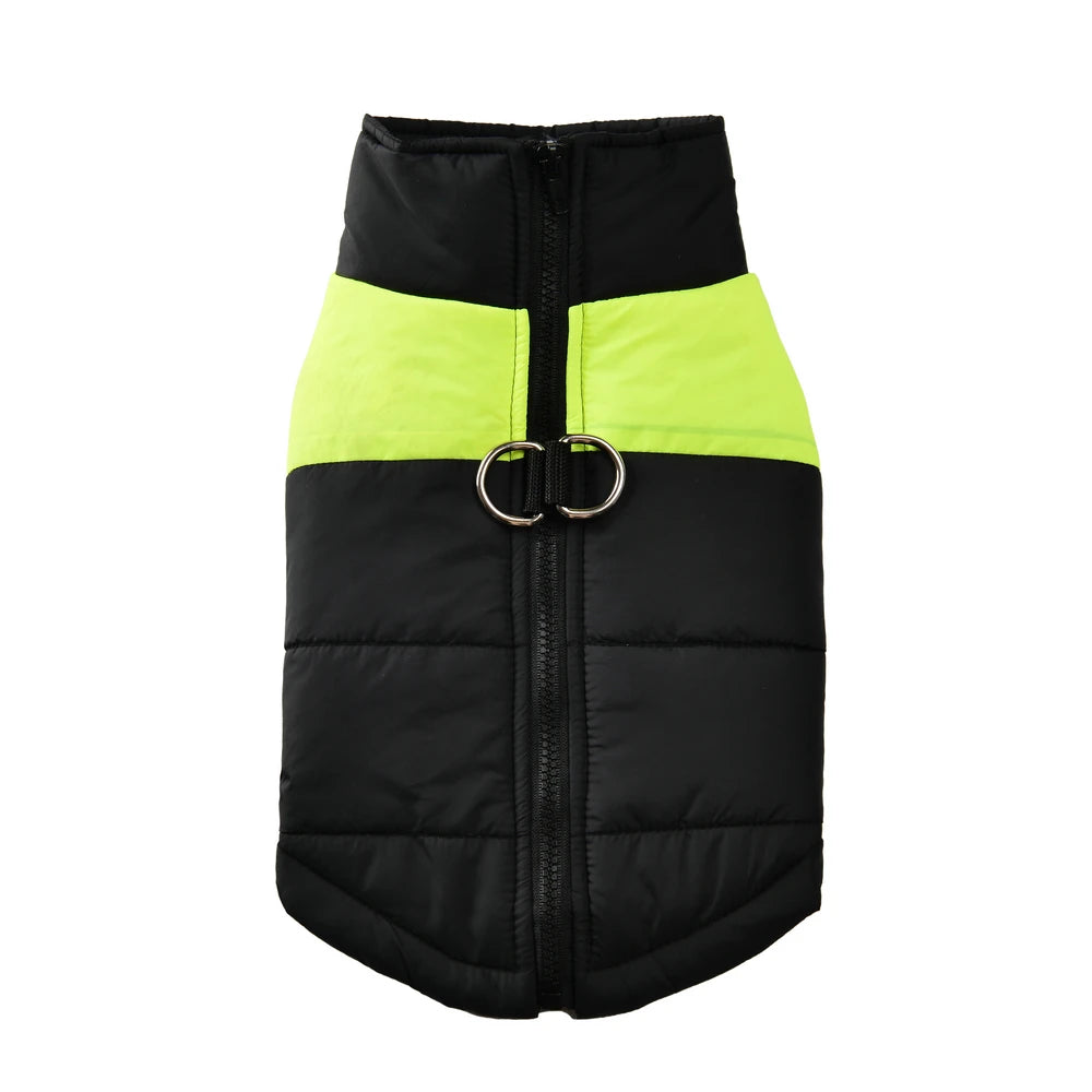 Guangdong Pet Dog Winter Jacket Windproof Waterproof Coat