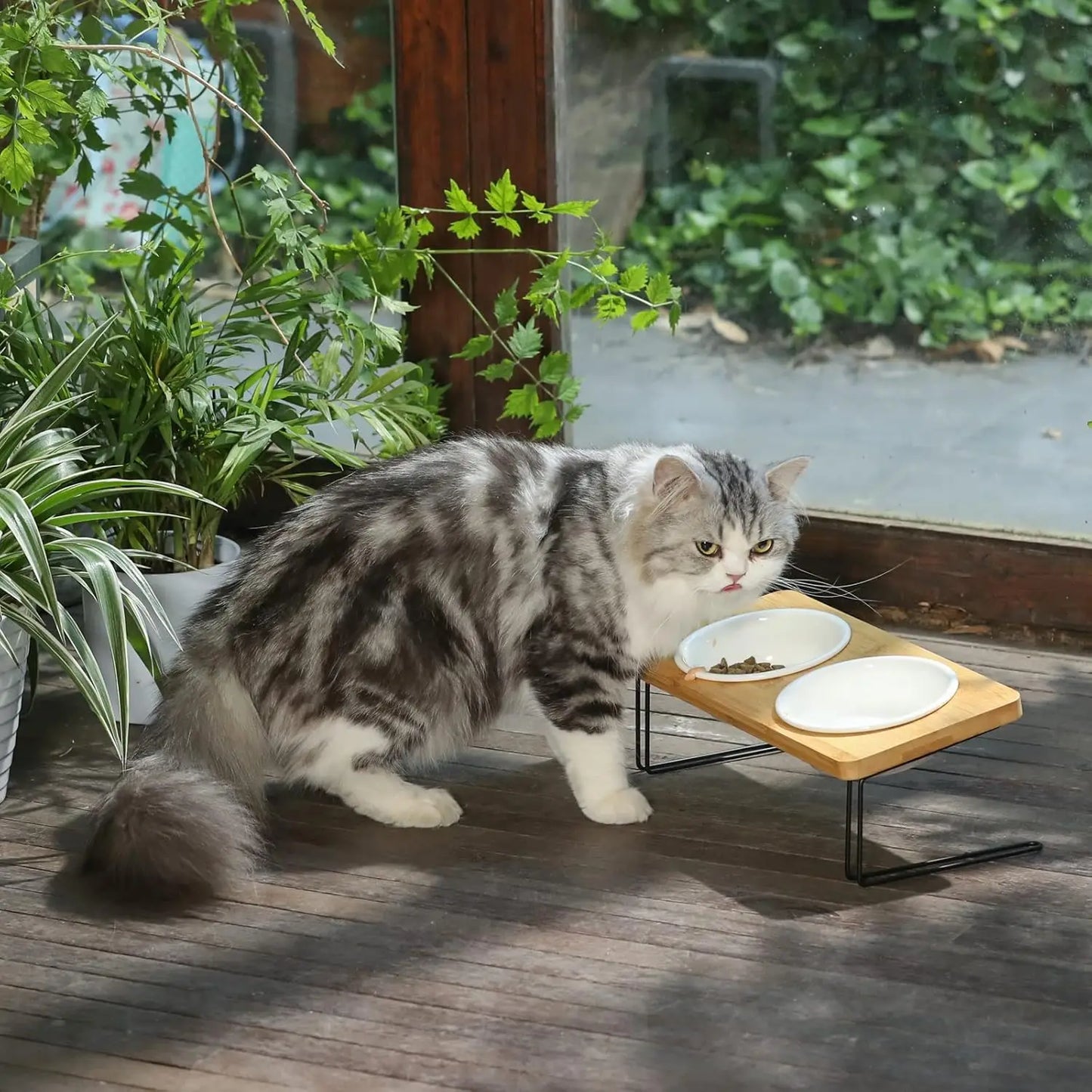 Elevated Cat Ceramic Bowls With Tilted Bamboo Stand