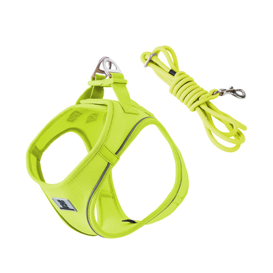 Small Combination Harness Leash Set Reflective Adjustable