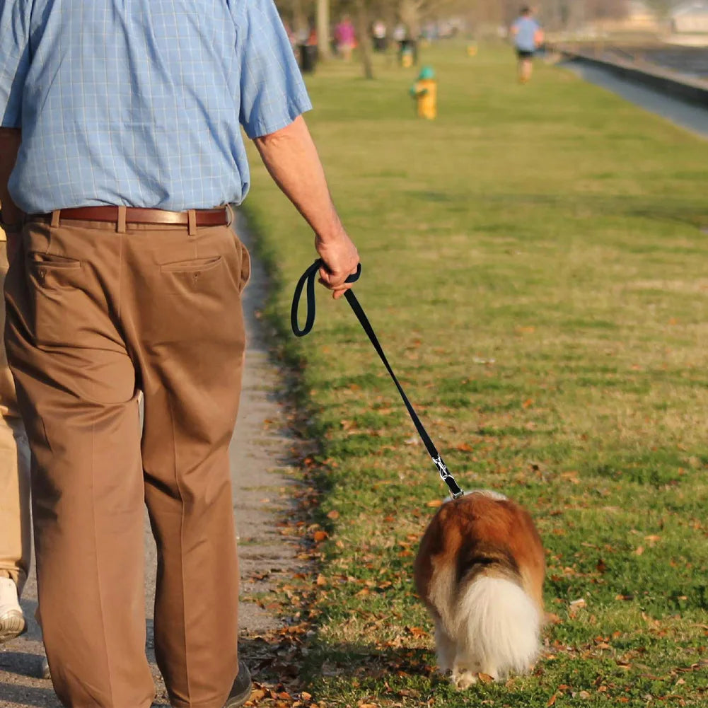 Guangdong Double Ended Adjustable Dog Leash for Halti Training