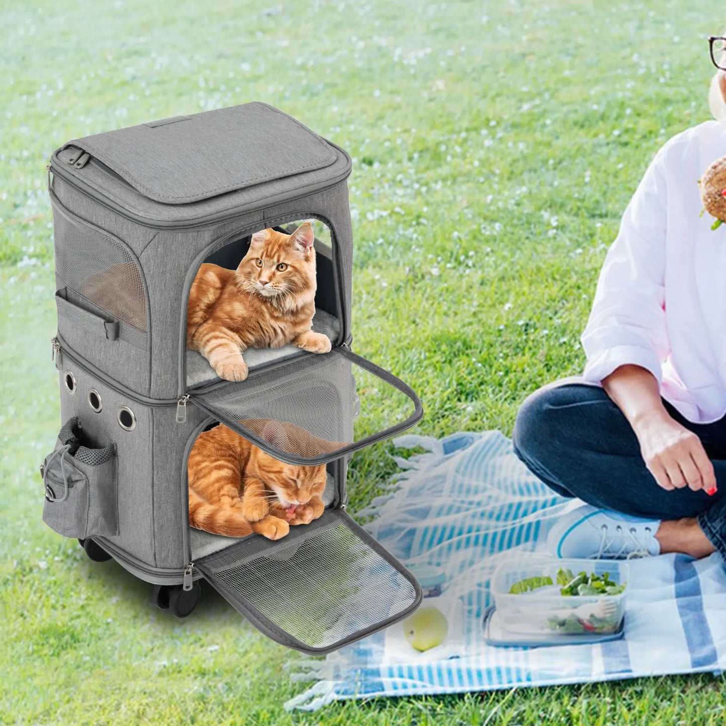 Cat Carrier Rolling Pet Carrier With Wheels And Ventilated
