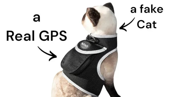 Real Time Pet Location GPS Collar For Cats And Dogs